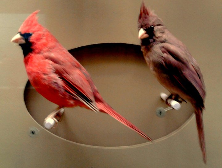 58507_160933573918500_481022_n